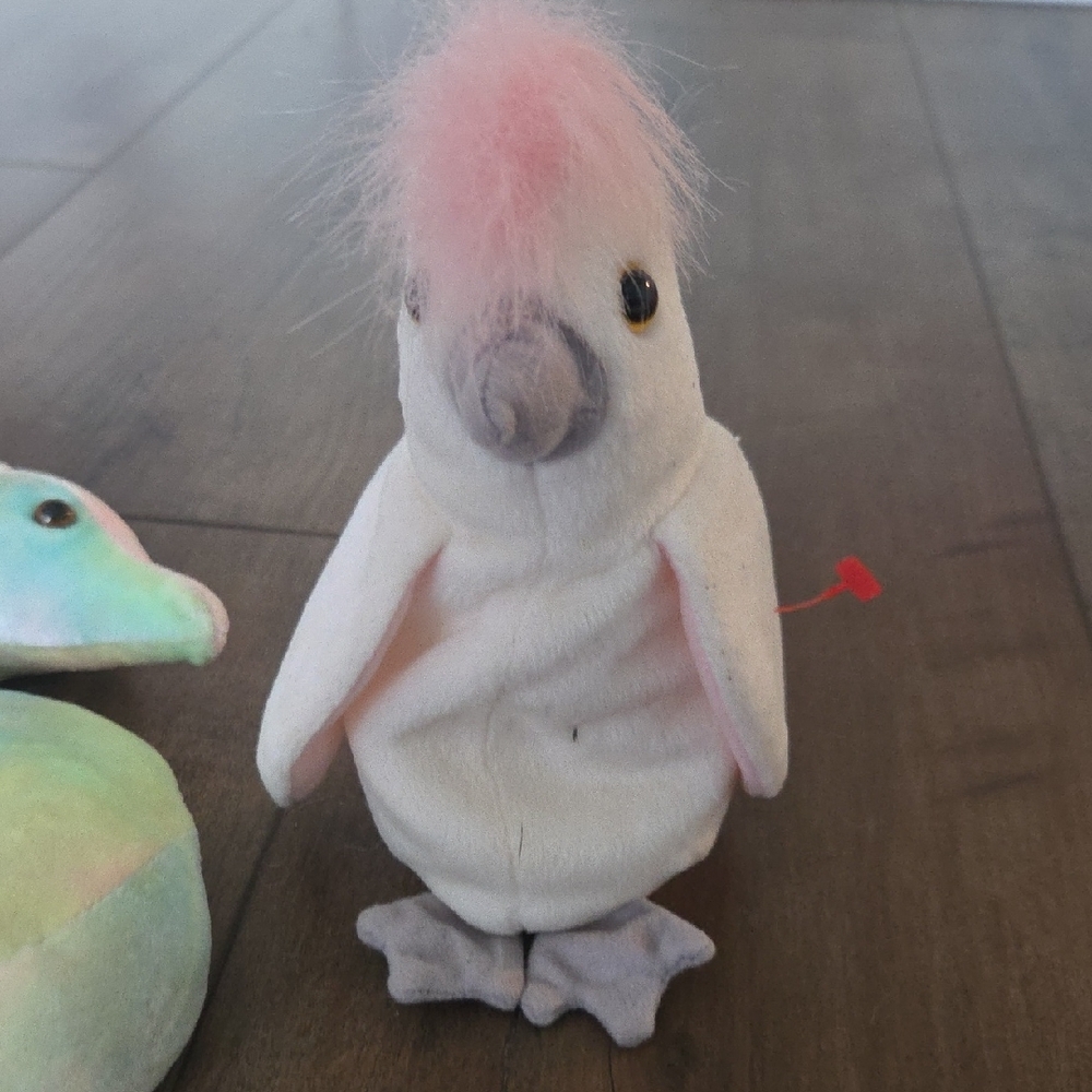 Beanie Babies Collection - Picture 7 of 9